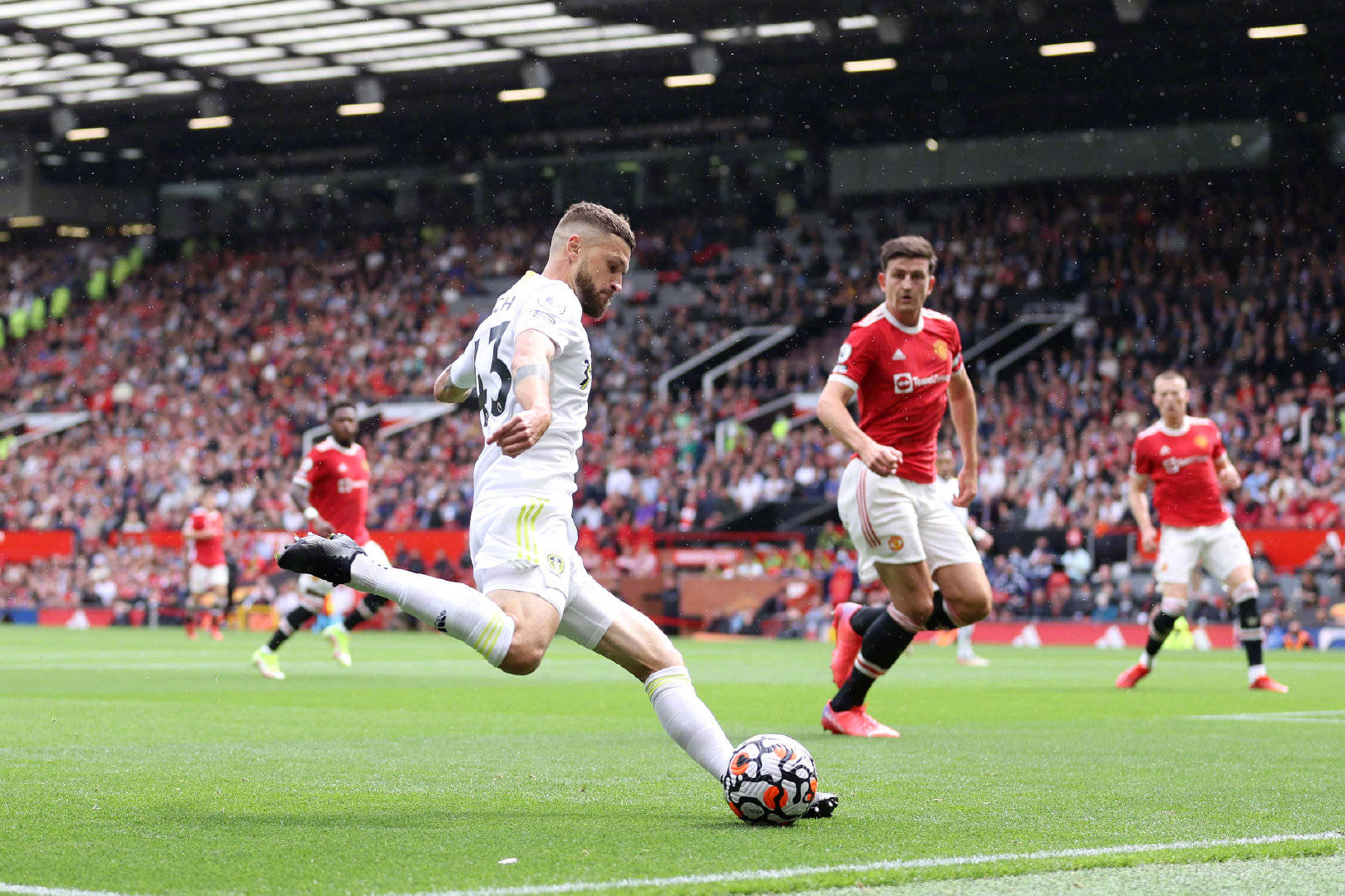 在这条漫长 在这条漫长